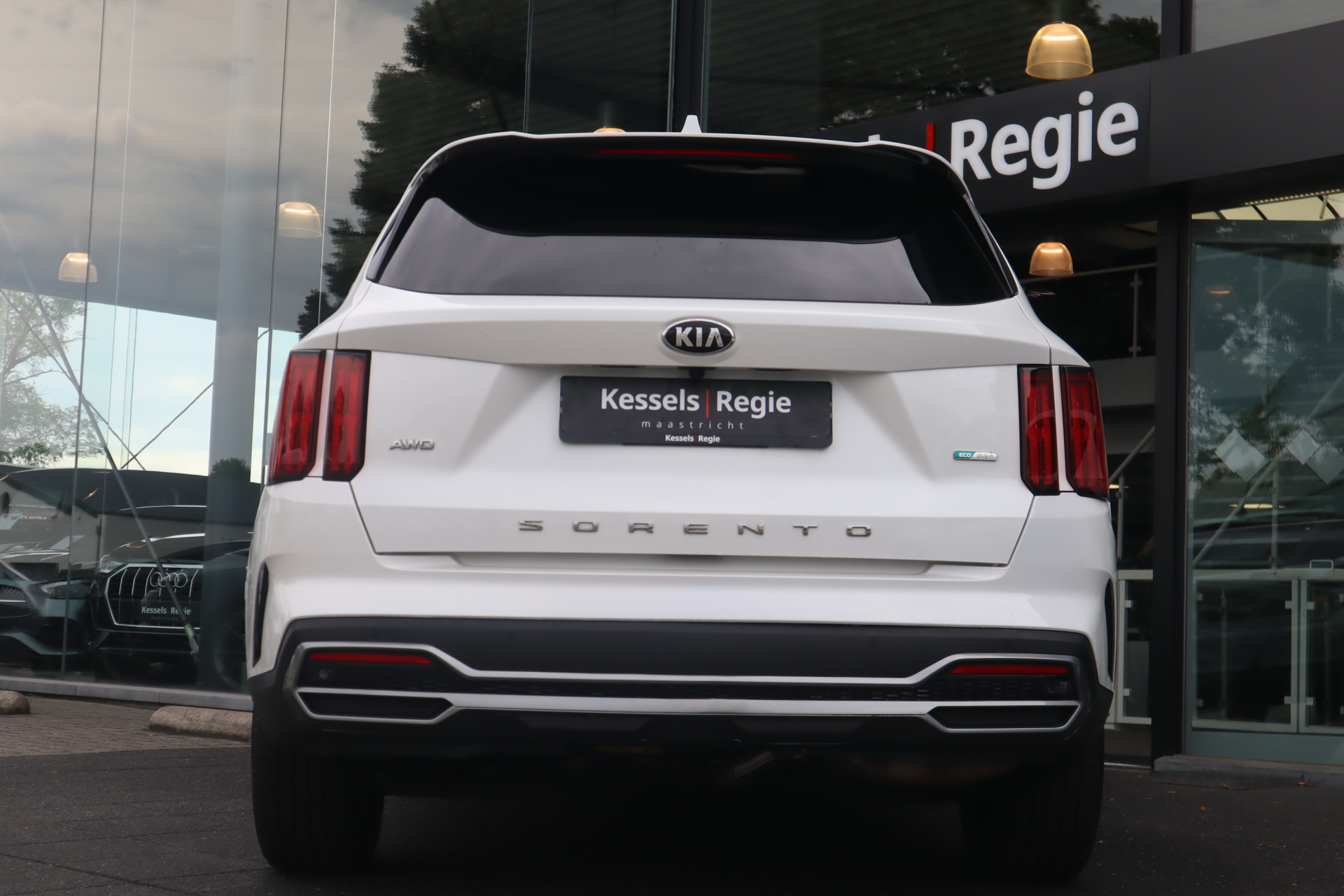 46456115-24.jpg