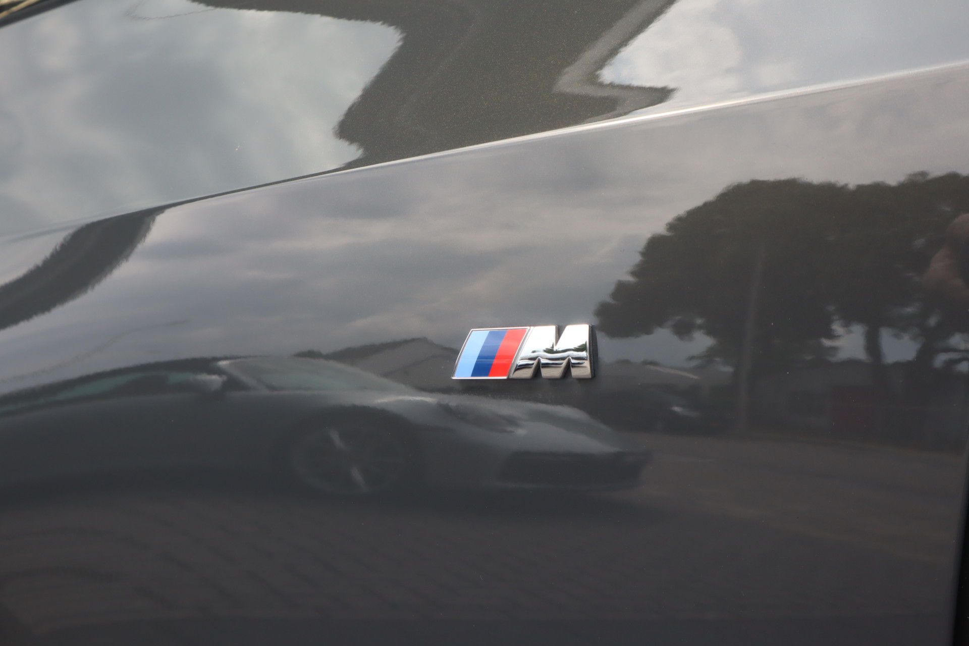 46586660-29.jpg