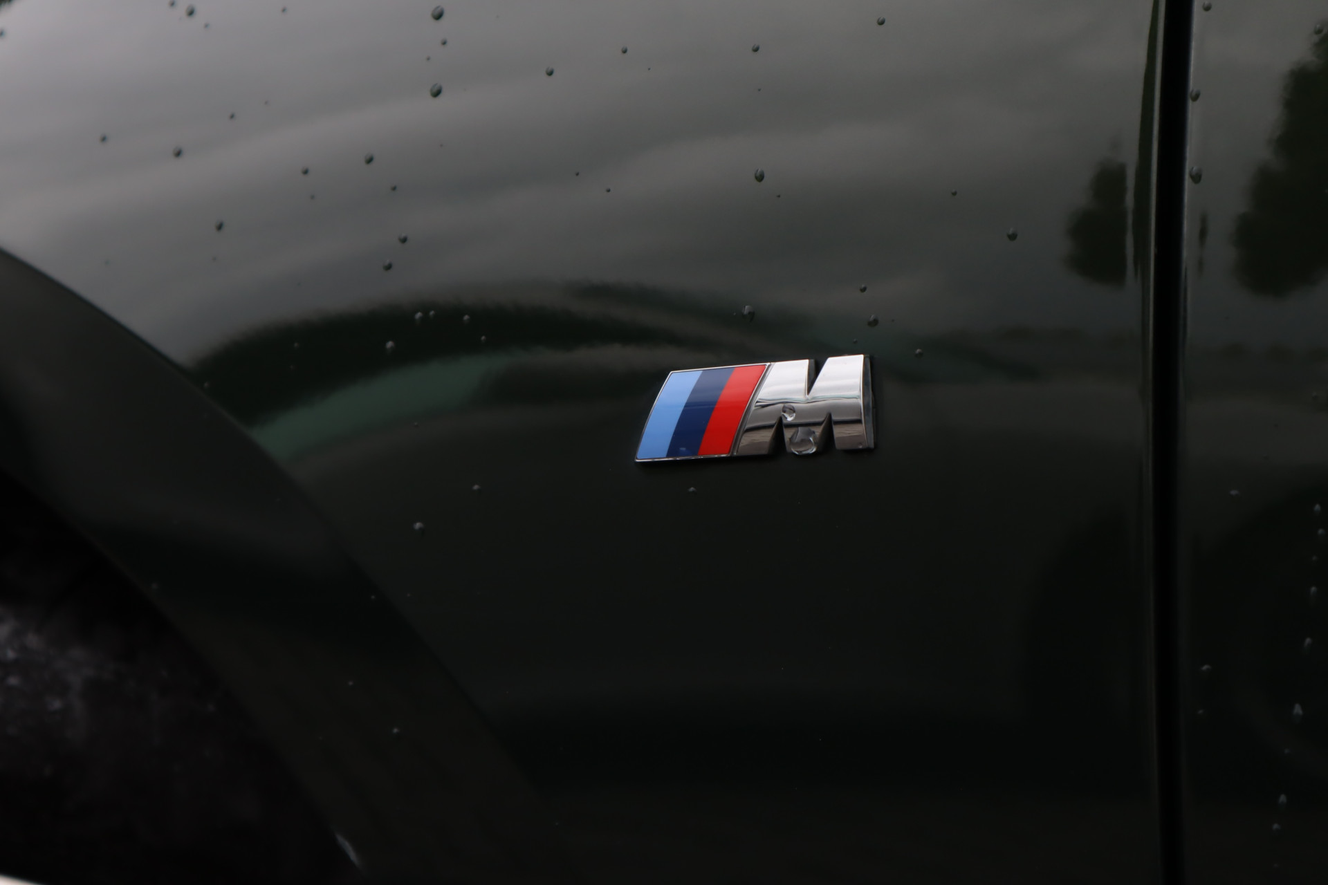 47490061-27.jpg