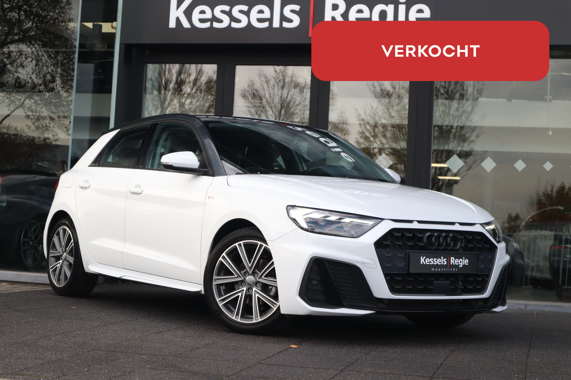49041590