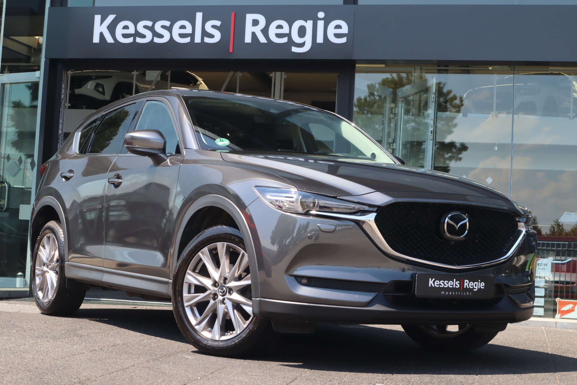 55015833