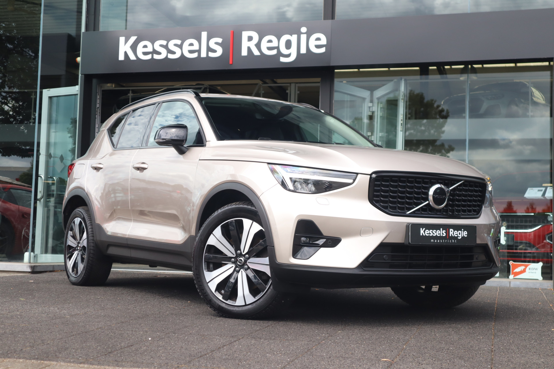 55727493